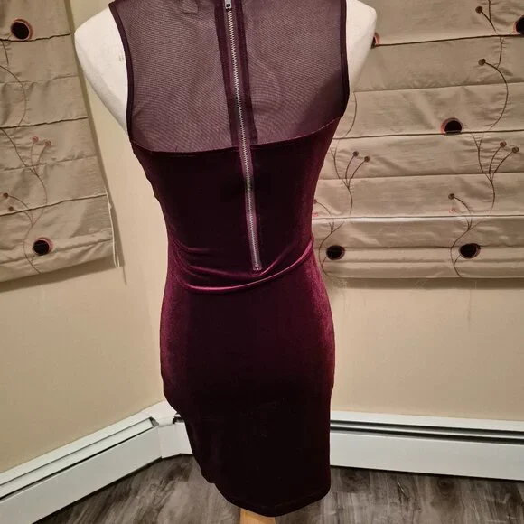 Velvet Burgundy Dress - Picture 4 of 4